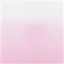 Saraille - Pale Rose Cutting