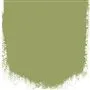 ASPARAGUS FERN - WATER BASED EGGSHELL - 2.5LTR