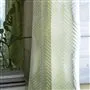 chaconne - acacia