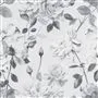 couture rose - noir wallpaper