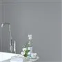 APPLETON GREY NO. 38 PAINT