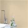 TRAVERTINE NO. 9 PAINT