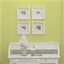 ALCHEMILLA NO. 112 PAINT