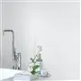 WHITEWASH NO. 2 PAINT