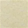 lustro - birch