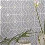 Laterza Shell