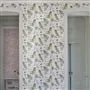 Acanthus Moss