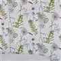 Acanthus Moss