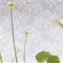 Berettino Celadon