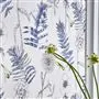 Acanthus Indigo