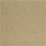 sesia - olive