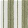 scillo sage