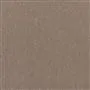 spinelli - moleskin