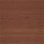 Chinon - Sandalwood Cutting