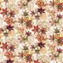 amaryllis - carmine