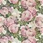 the rose - tuberose