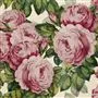 The Rose Tuberose