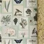 Flora And Fauna Parchment